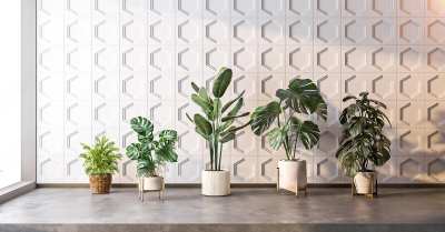植物盆栽组合3D模型下载